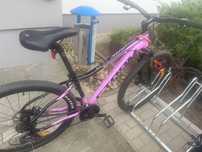 Rower STORM Shark Lady 29 1,0
