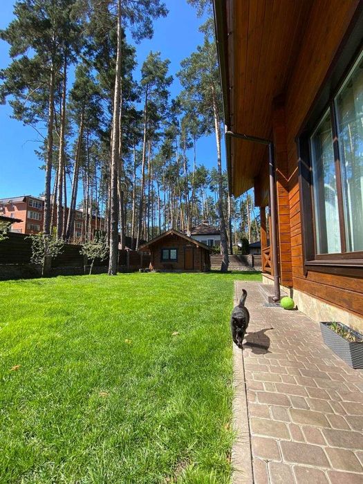 Будинок з якісним ремонтом в Бучі