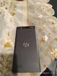Blackberry(black)