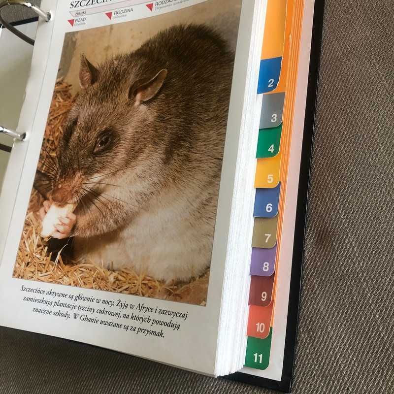 Encyklopedia zwierząt dla dzieci