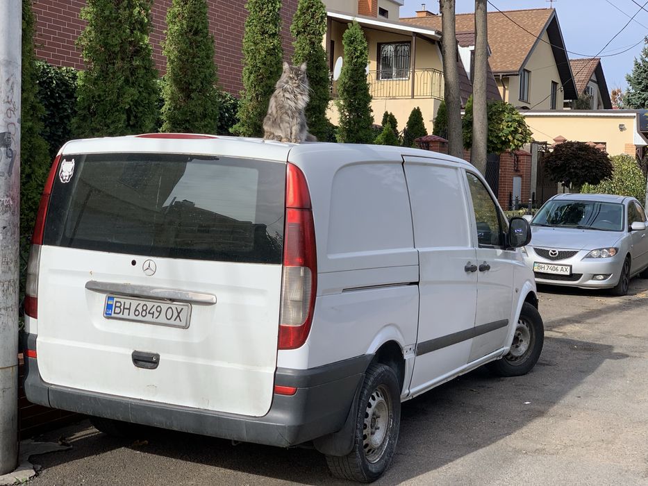 Аренда буса микроавтобуса 600 грн