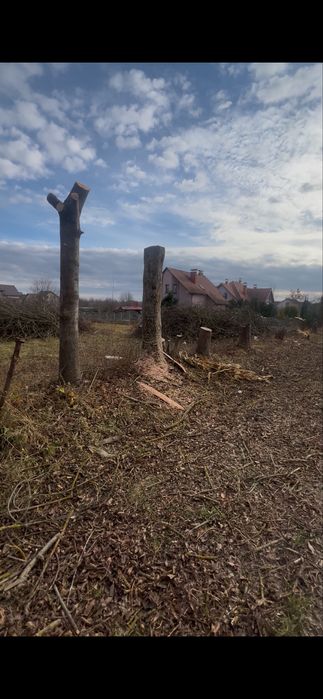 Розчистка ділянки під ключ,Розліснення,Зрізання висотних дерев