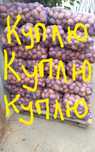 Картоплю крупну, суху, чисту