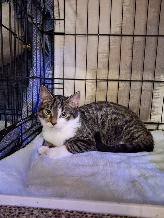 James szuka swojego człowieka