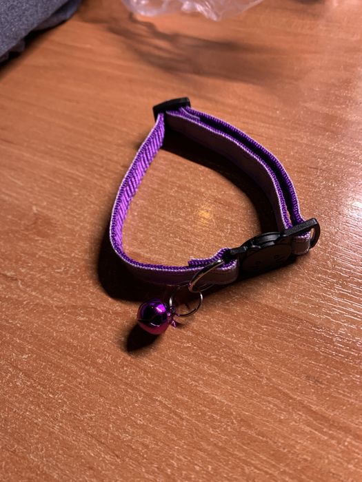 Світловідбивний Нашийник для котів