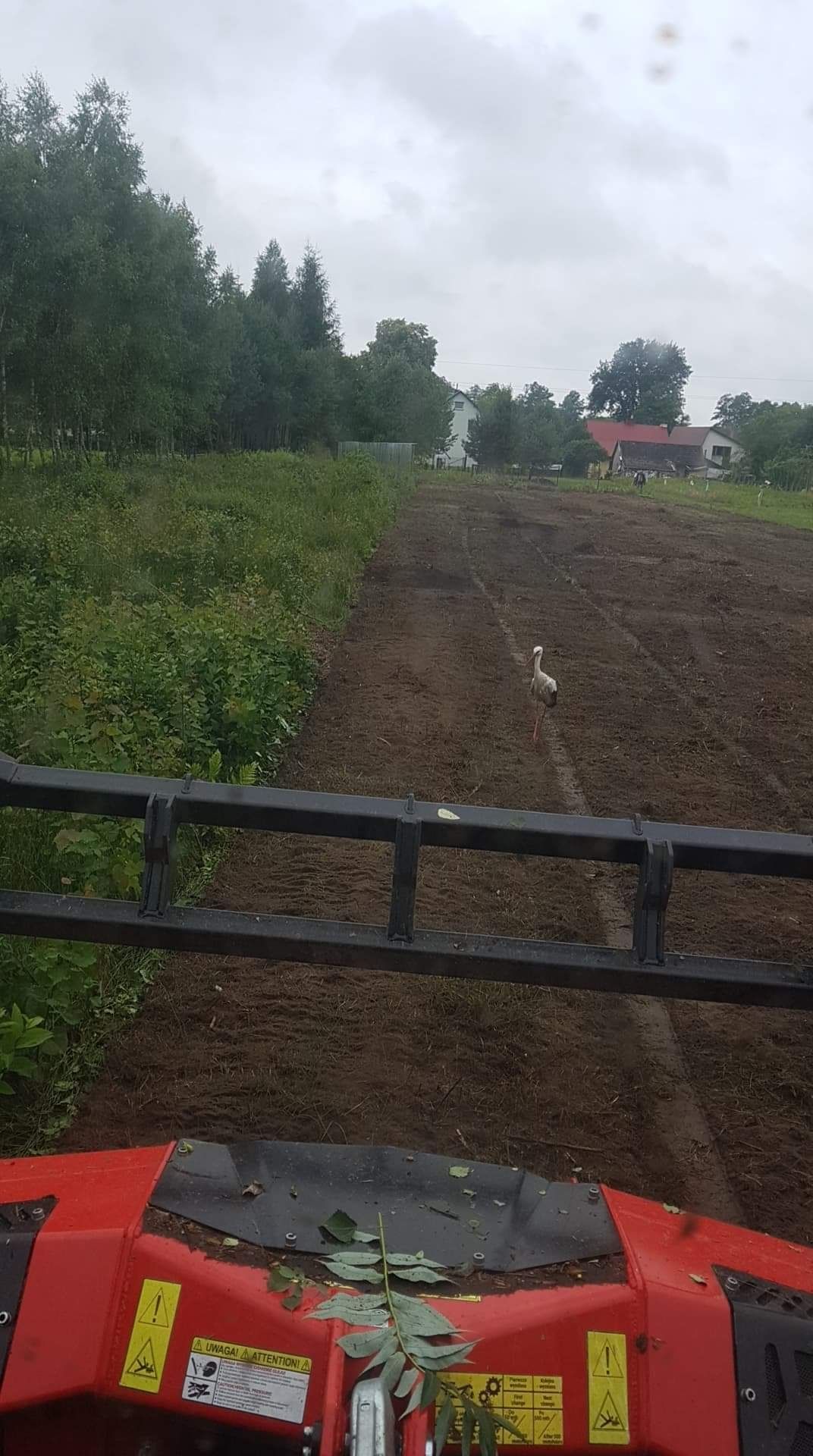 Mulczerowanie, Karczowanie, wycinanie, czyszczenie mulczerem Mielec