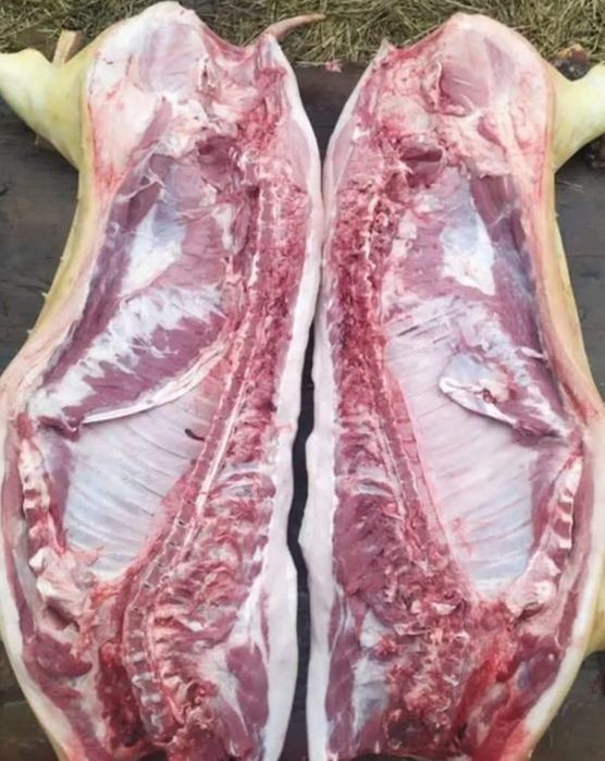 Поросята під забій