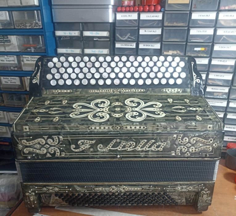 Acordeon Stela de botões 4 voz