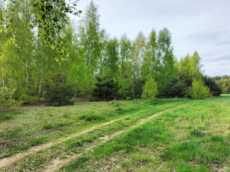 Działka z klimatem 2,70ha