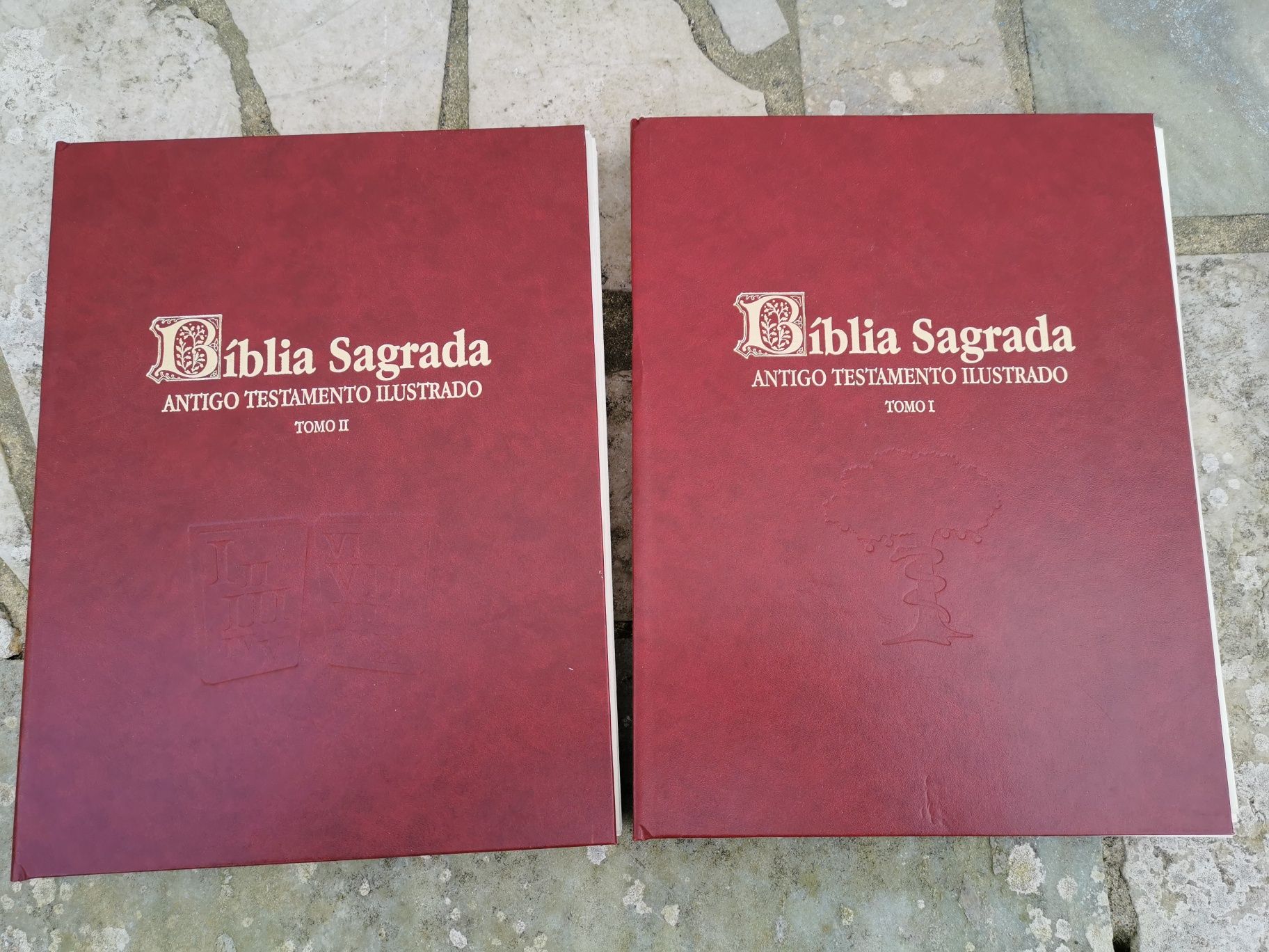 Bíblia sagrada Antigo testamento ilustrado