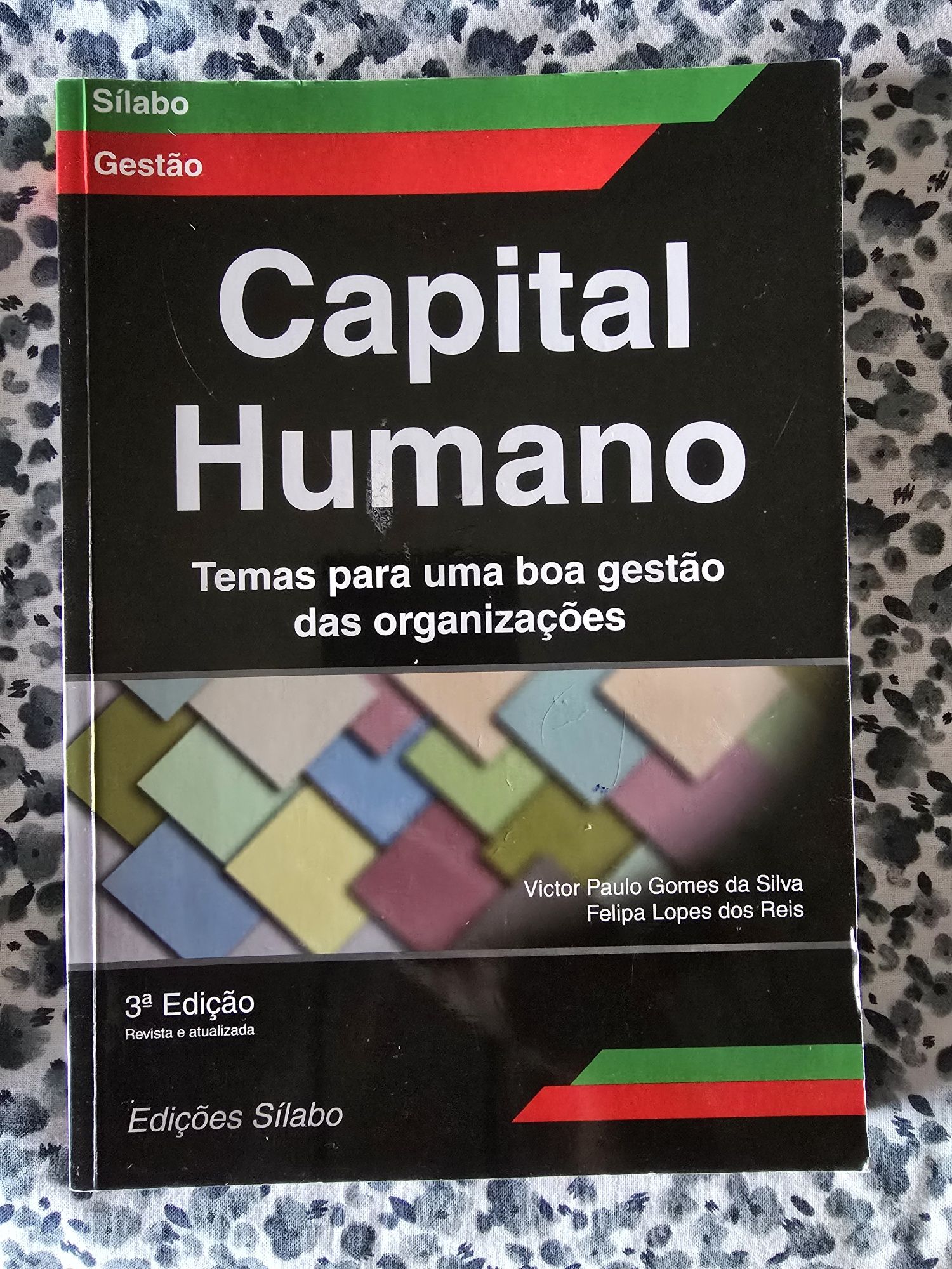 Capital Humano temas para uma boa gestão