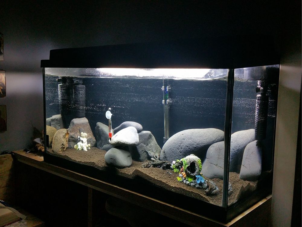 Vendo 3 aquarios e acessórios