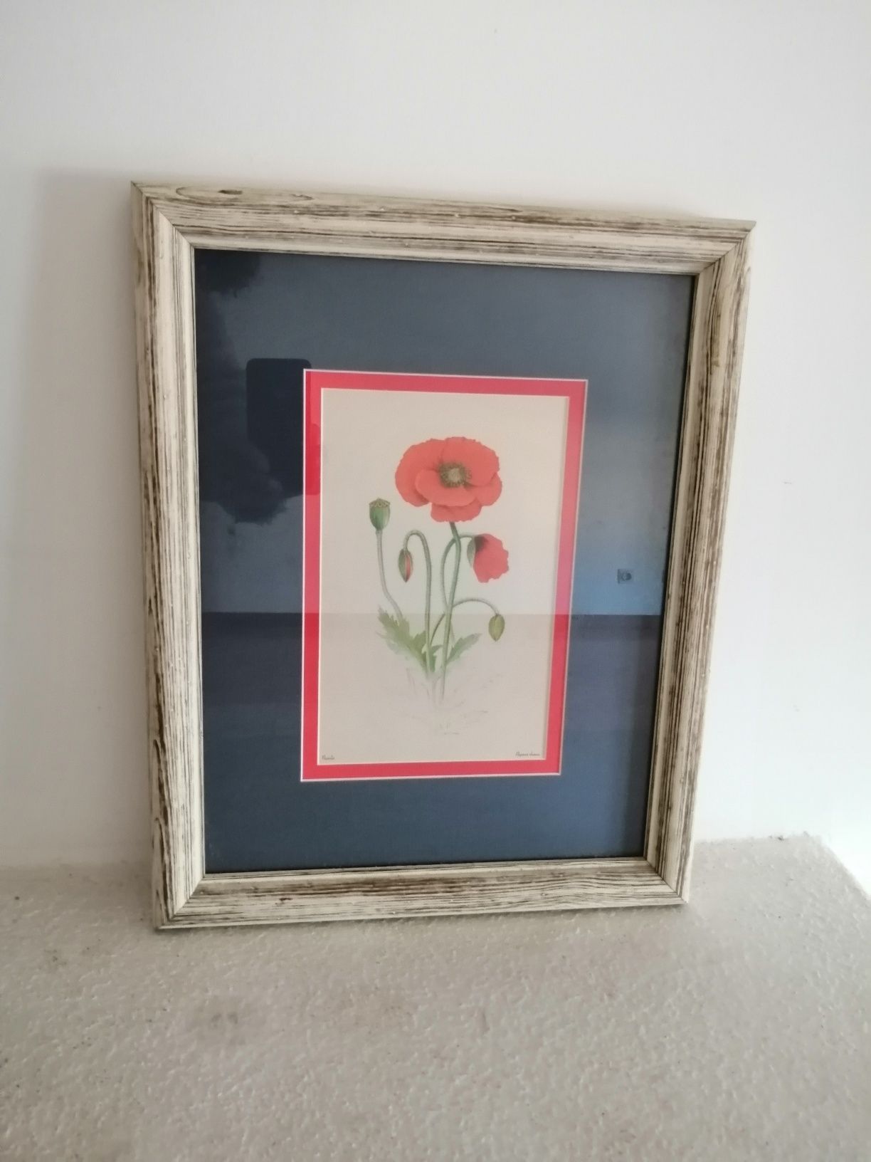 Quadros com gravuras de flores.