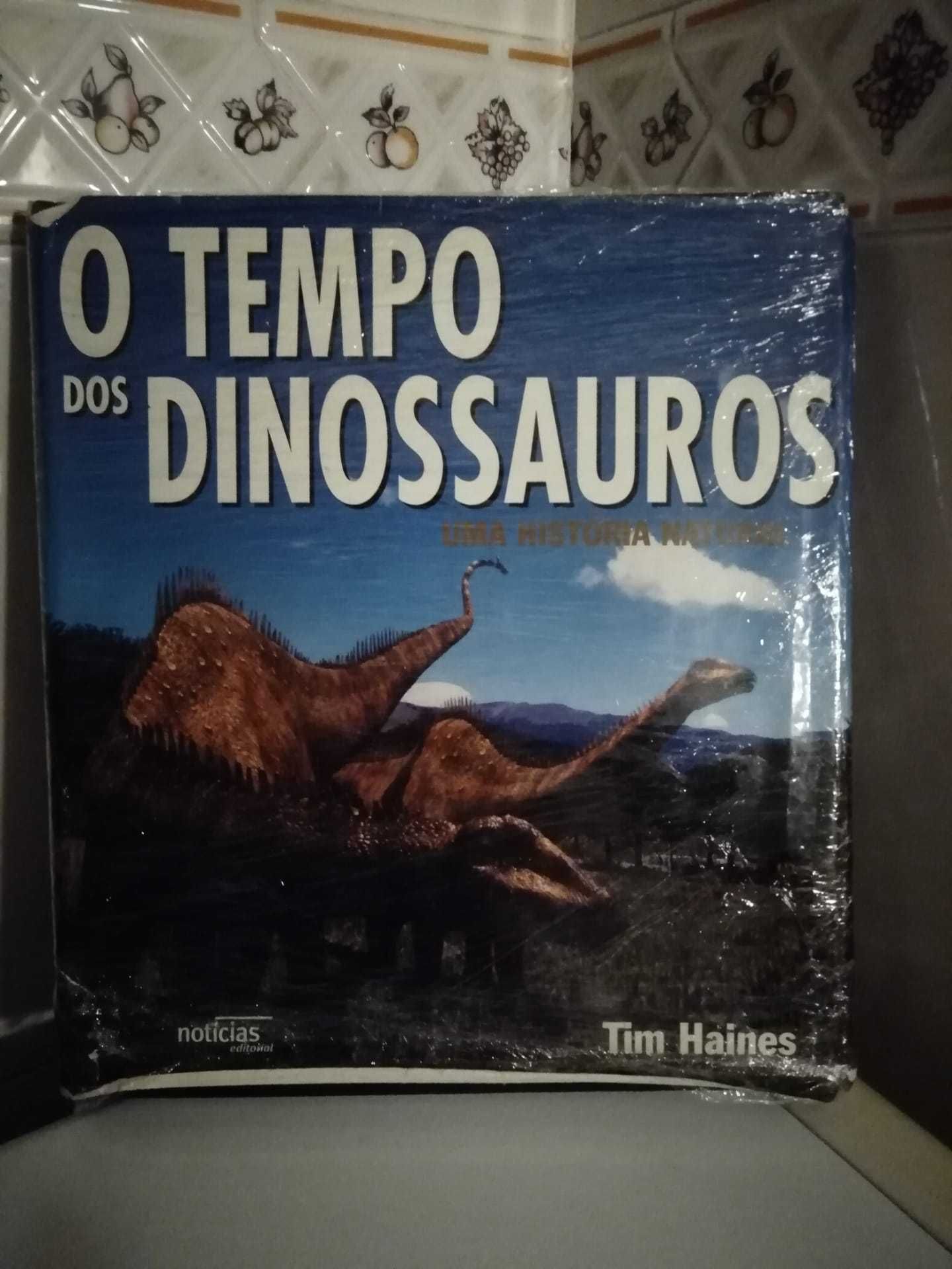 Grande e Bonito Livro O Tempo dos Dinossauros C Figuras Em Português