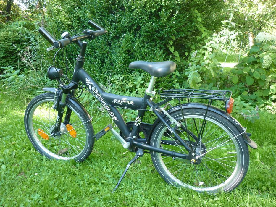 Rower Pegasus Koła 20"