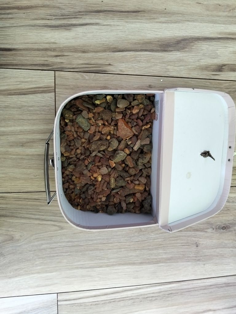 Sprzedam bursztyn