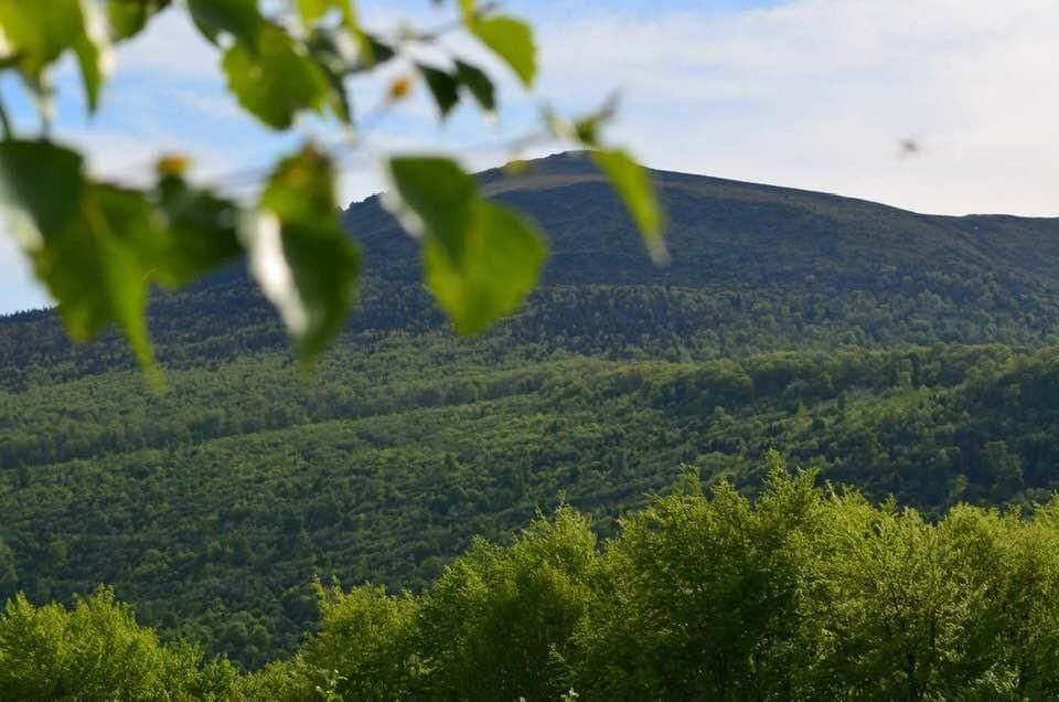 Відпочинок в Карпатах Садиба Пікуй Без Господарів ЧАН БАНЯ ФОРЕЛЬ