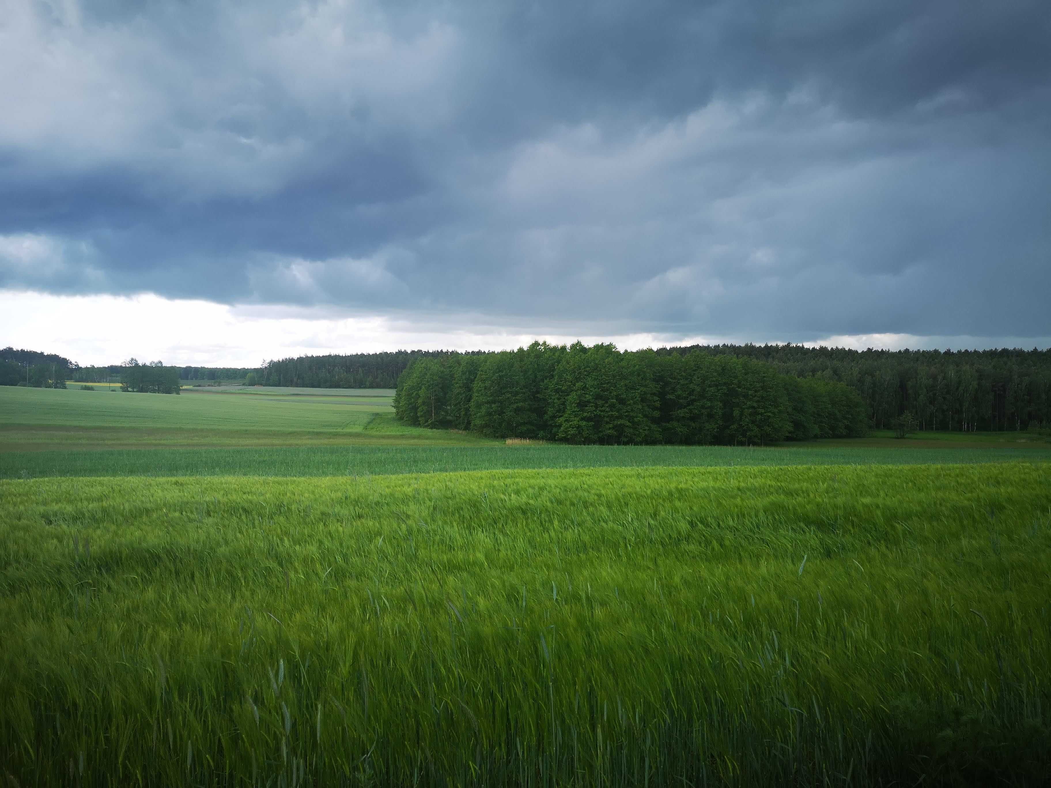 Działka rolno/budowlana Siodlkowice/Wołów