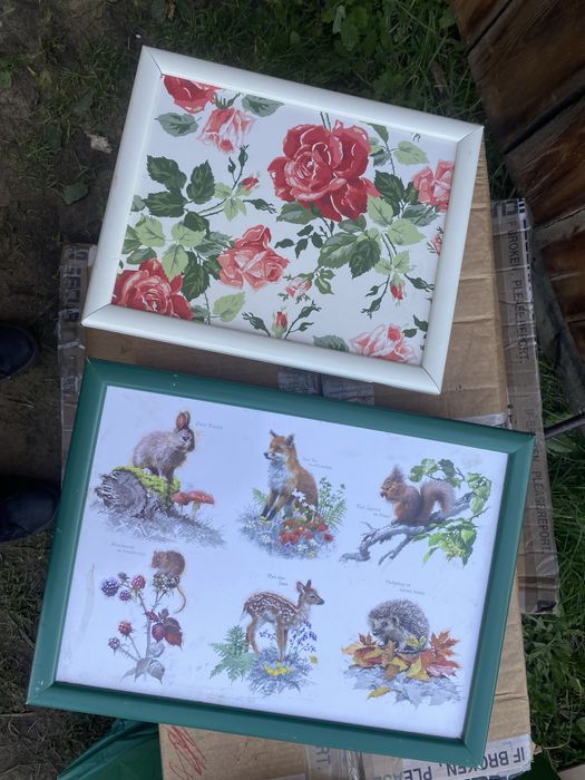 2 tace śniadaniowe z poduszką kotyw róże zwierzeta