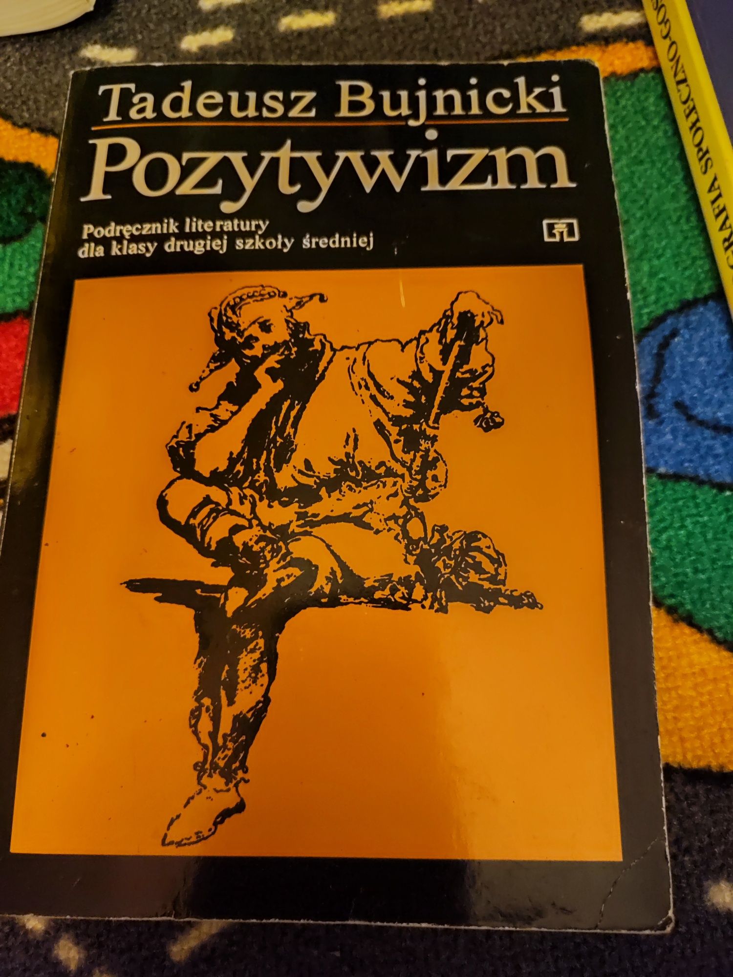 Książka Pozytywizm