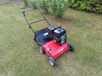 Wertykulator spalinowy arealtor Einhell gc-sc