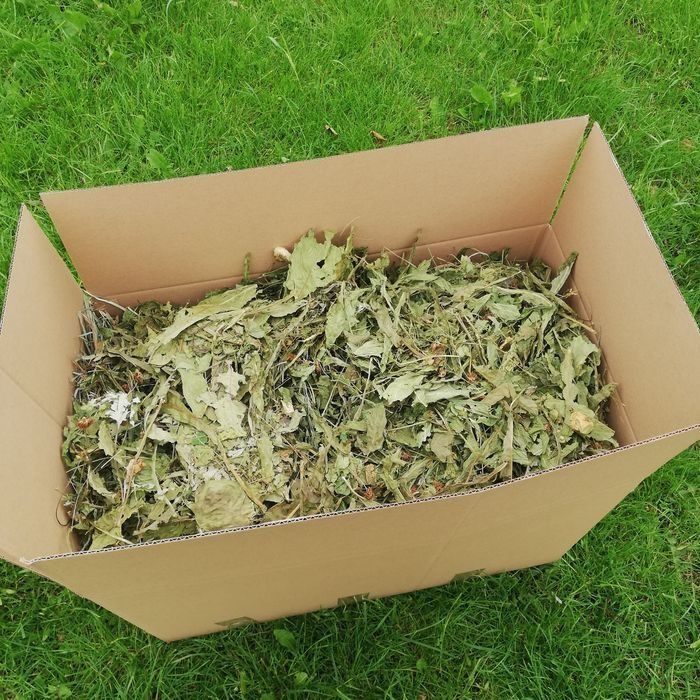 Siano z mniszkiem dla królika 5kg