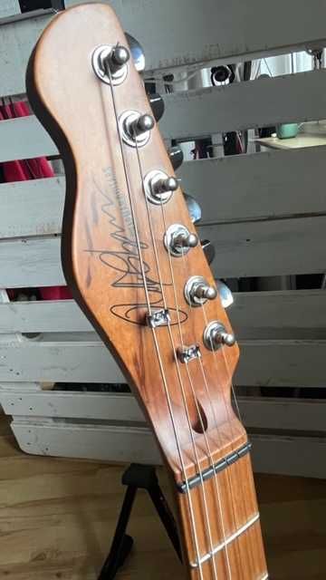 Chapman ML-1 Hybrid SSB diMarzio i case