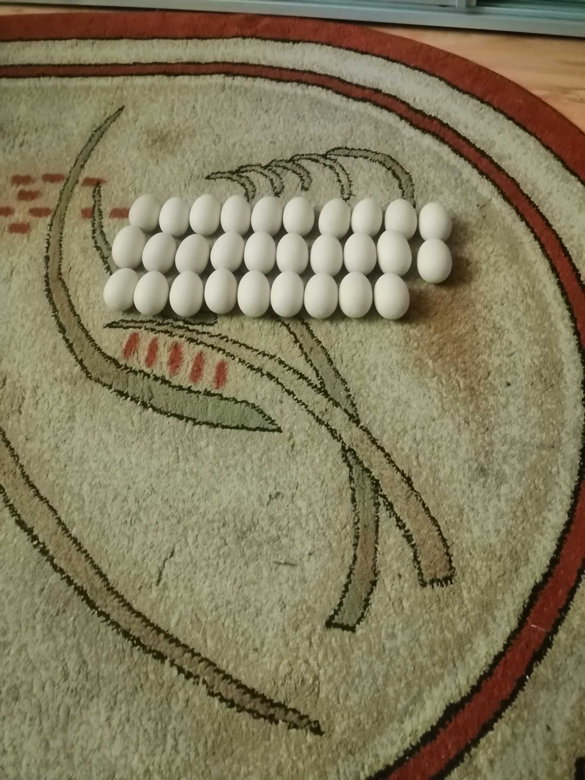 Jajka drewniane 29 sztuk