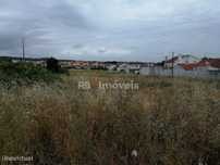 Lote Terreno