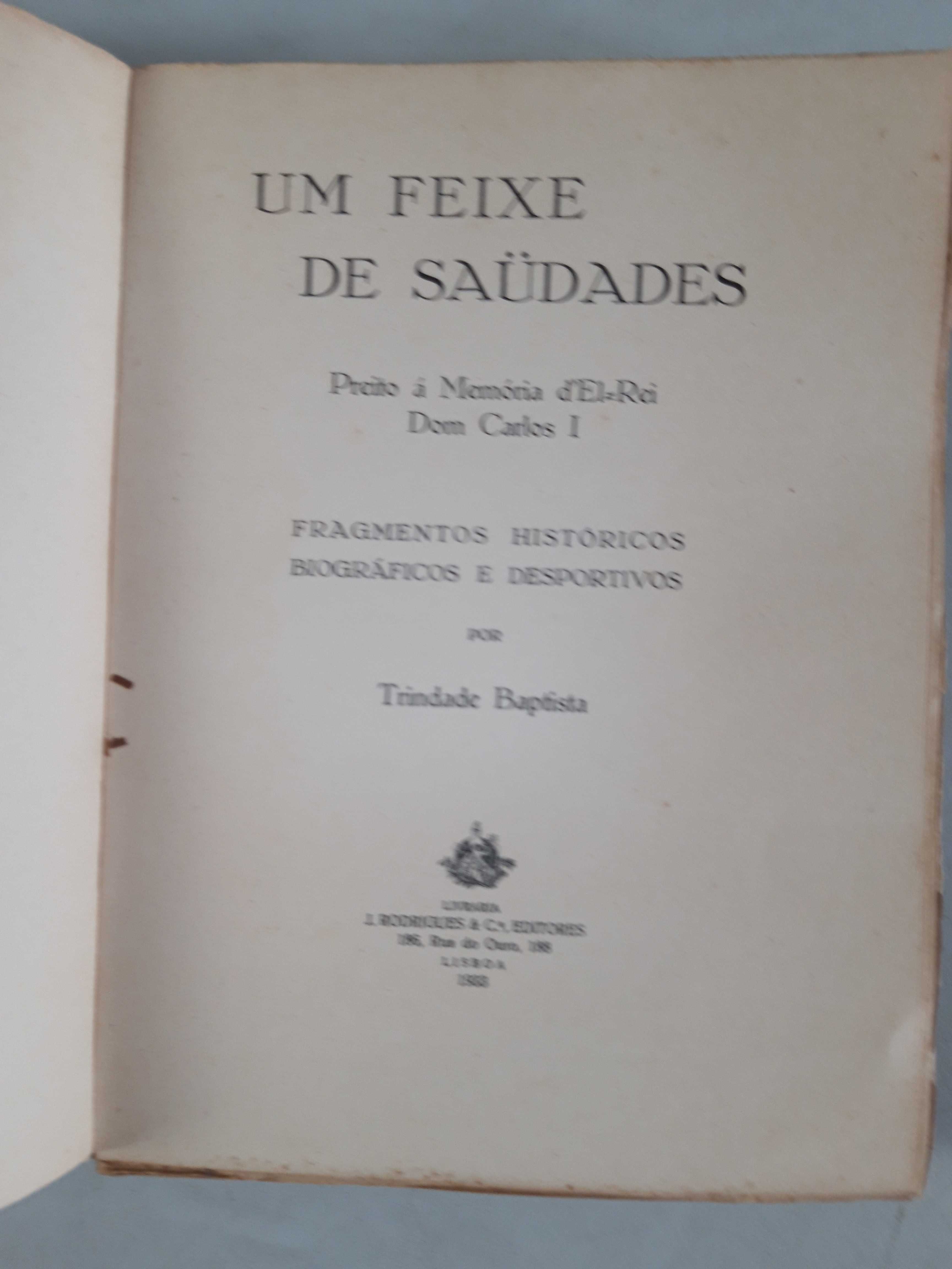 Livro Ref Par1  - Feixe de Saudades