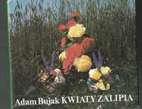 Kwiaty  Zalipia Adam Bujak 1988