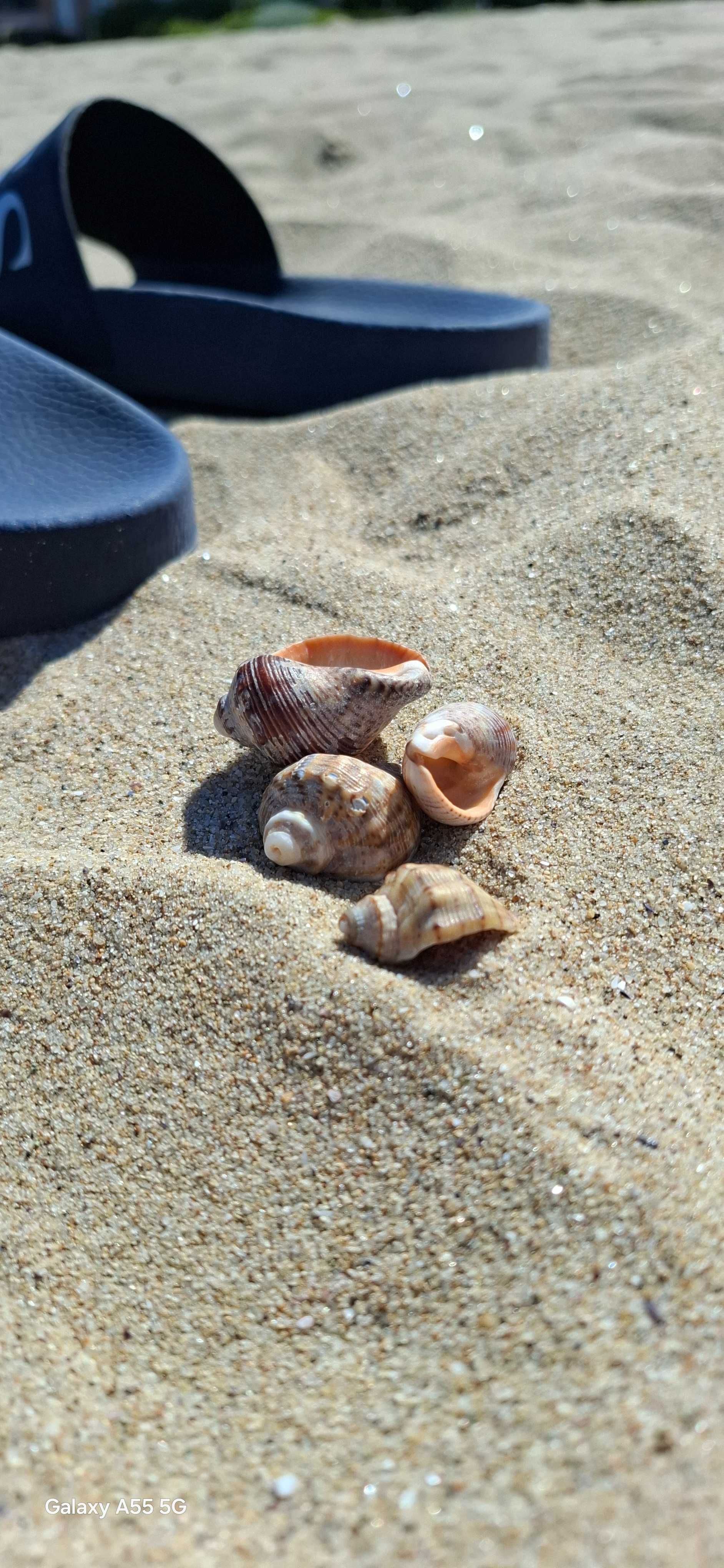 Apratament Obzor Beach Resort Wakacje  w Bułgarii!