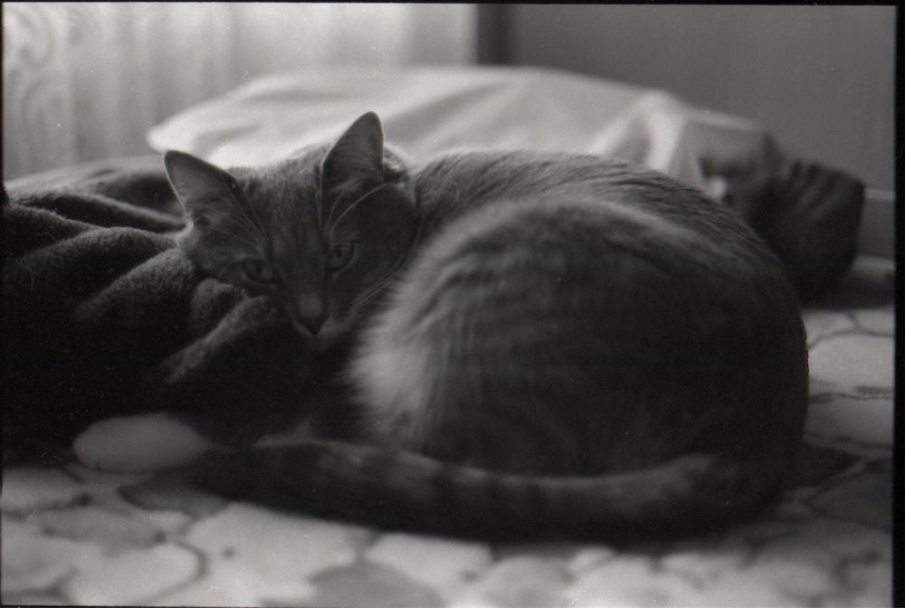 Konica Autoreflex TC з Hexanon 40mm f1.8