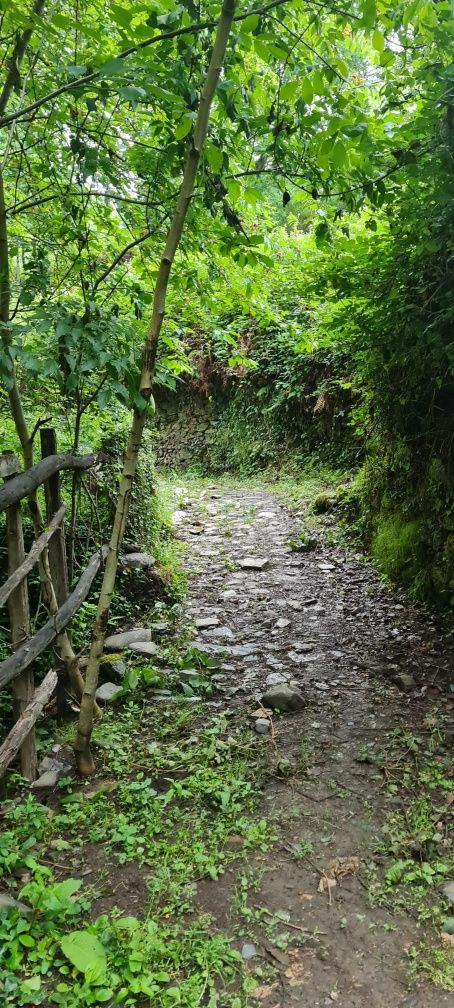 2 casas em pedra, xisto e lousa em ambiente natural