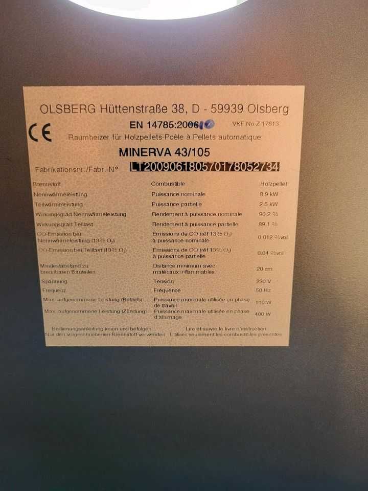 Kominek Piec na pellet KOZA kominkowy grzejnik na pelet 8,9kW peleciak