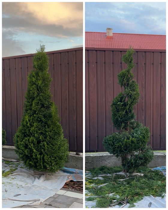 Послуги по обрізці кущів, покос газону великих площ