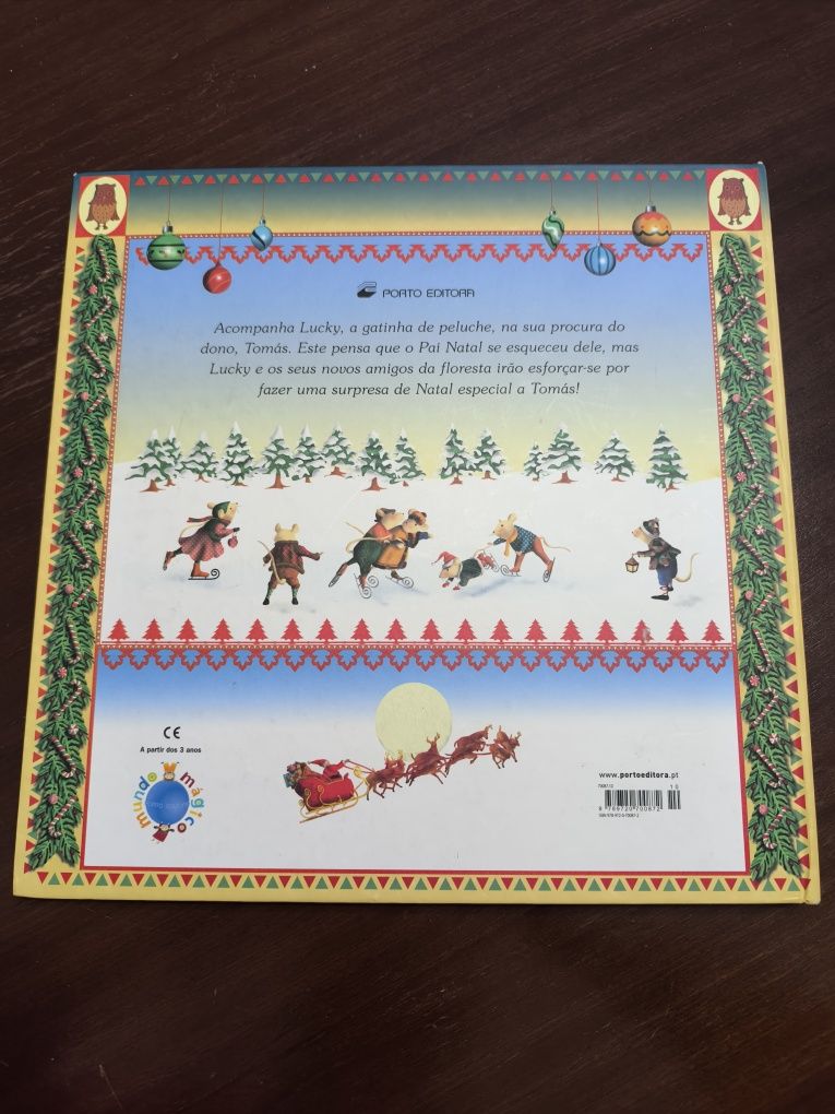 Uma Gatinha de Natal - Livro Infantil