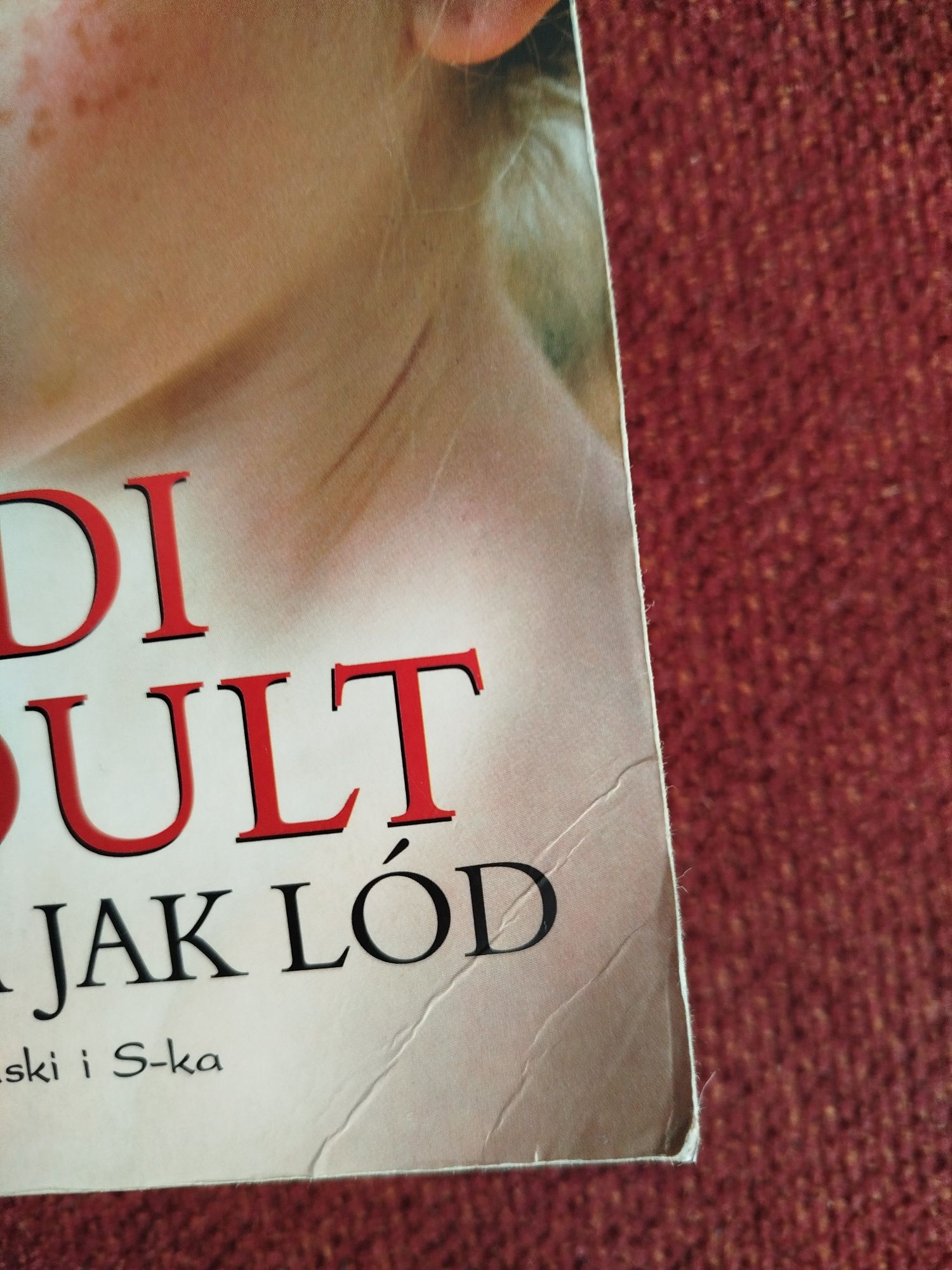 Książka Krucha jak lód Jodi Picoult