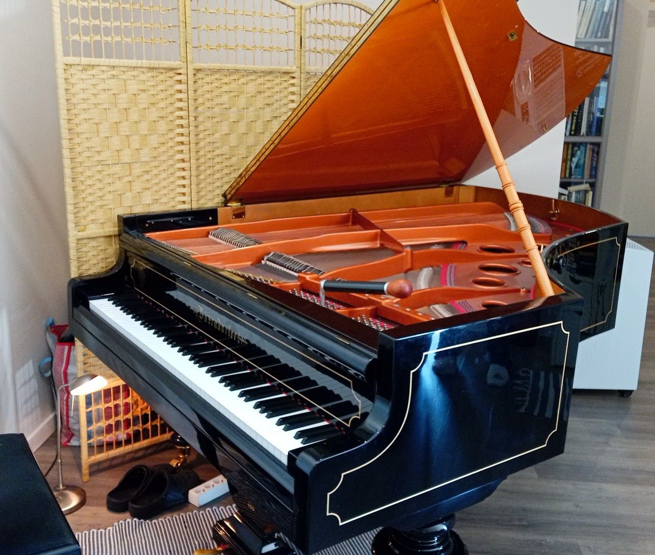 Técnico afinador de pianos