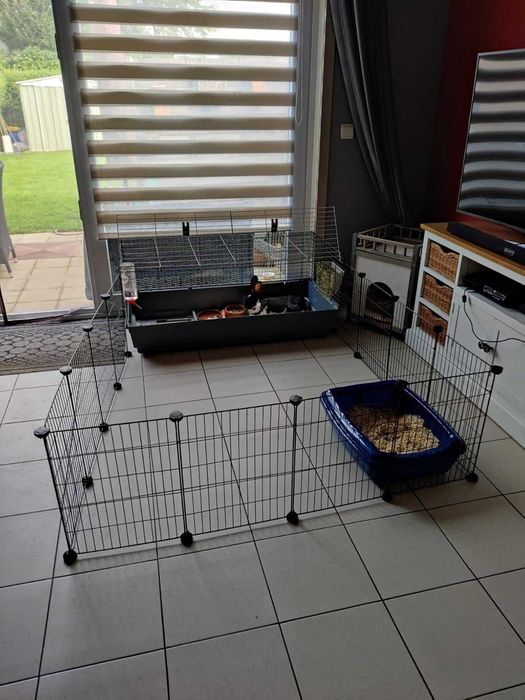 Klatka dla gryzoni królików świnki morskiej psa kota NOWA modułowa