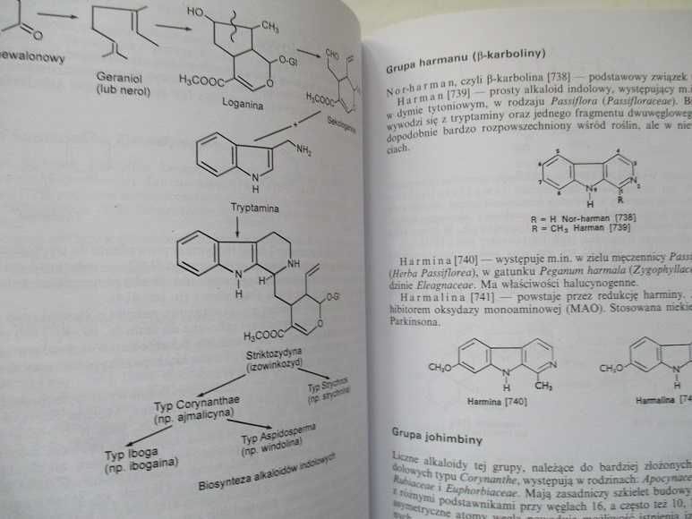 Farmakognozja - podręcznik dla studentów farmacji/Kohlmunser/farmacja