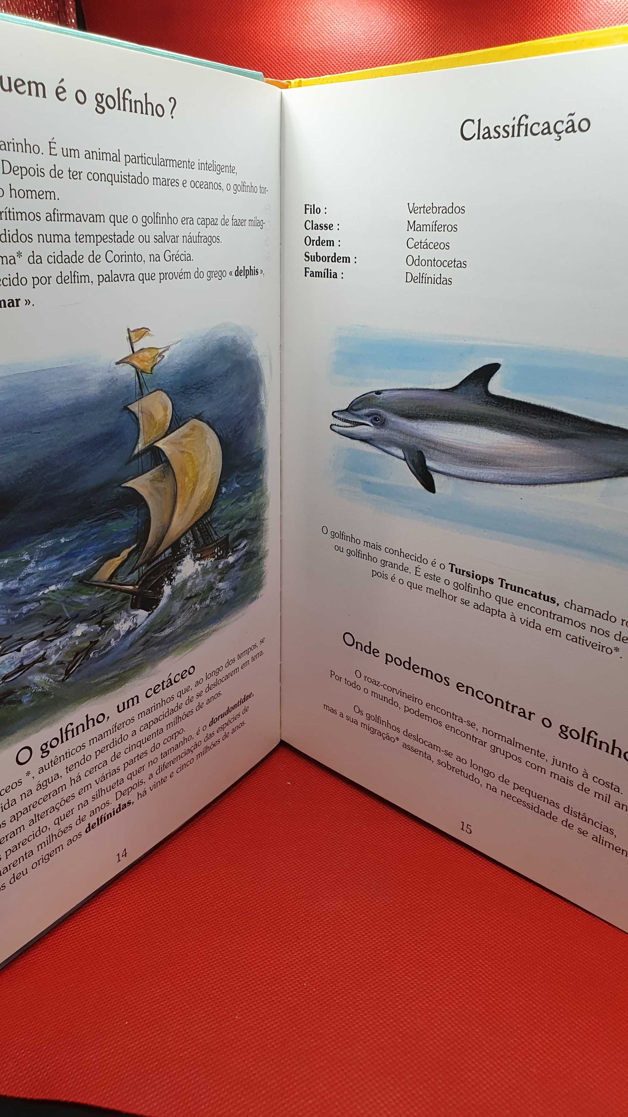 Livro Infantil - REF PINF - No País dos Golfinhos