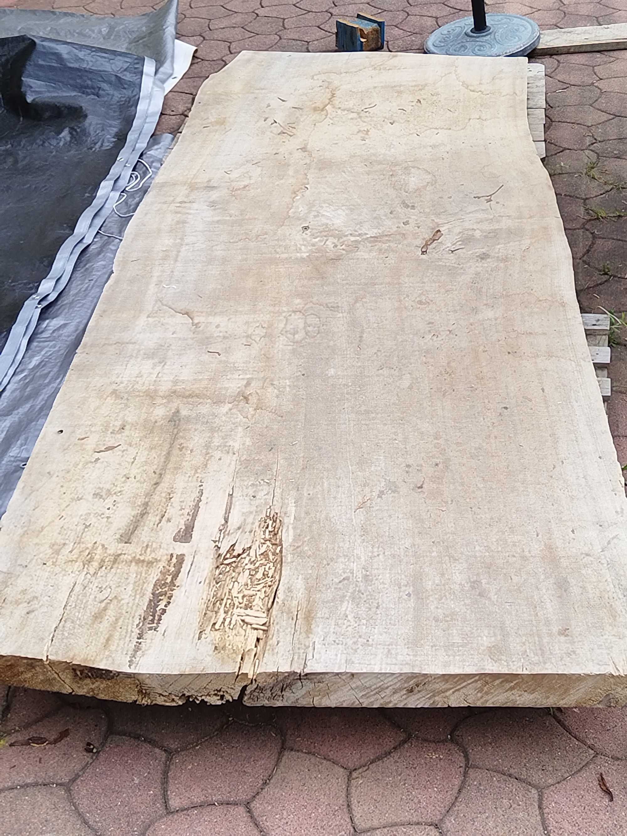 Stół jednolity blat topola 300x110 cm