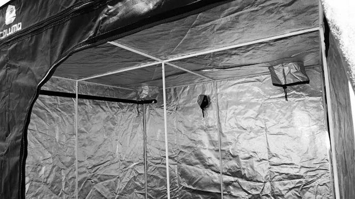 Namiot do uprawy roślin, Caluma 200x200x200, growbox