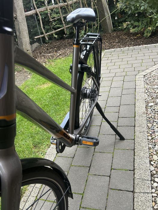 Rower Koga F3 8.0 Alfine 11 Pasek