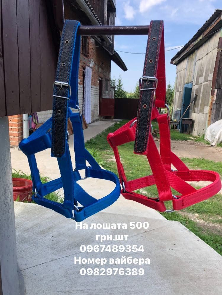 Недоуздки упряж для коней