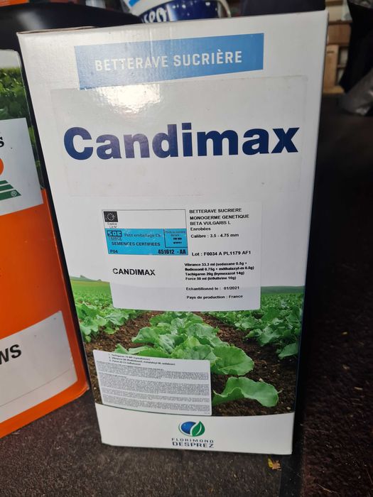 Ziarno Buraka cukrowego Candimax