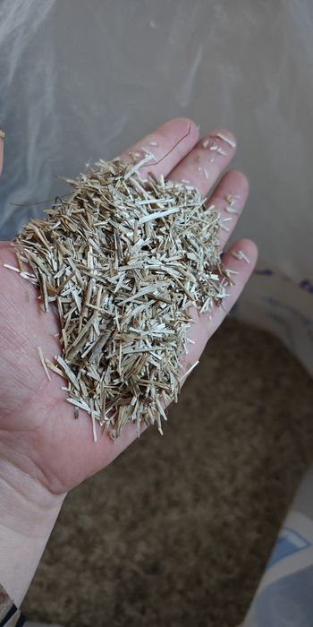 Sciółka Liniana ok. 10kg otwarta