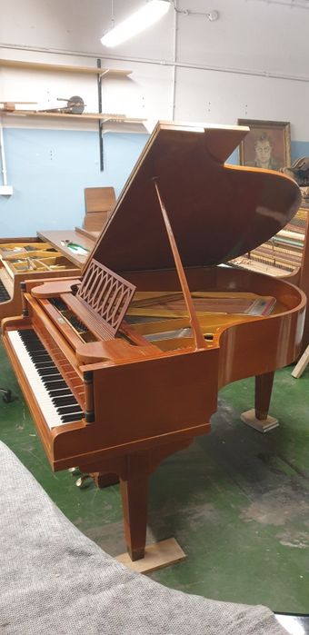 Fortepian Steingraber w cenie pianina