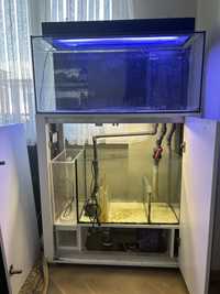 Akwarium morskie + szafka pelny zestaw 180l + sump 110l